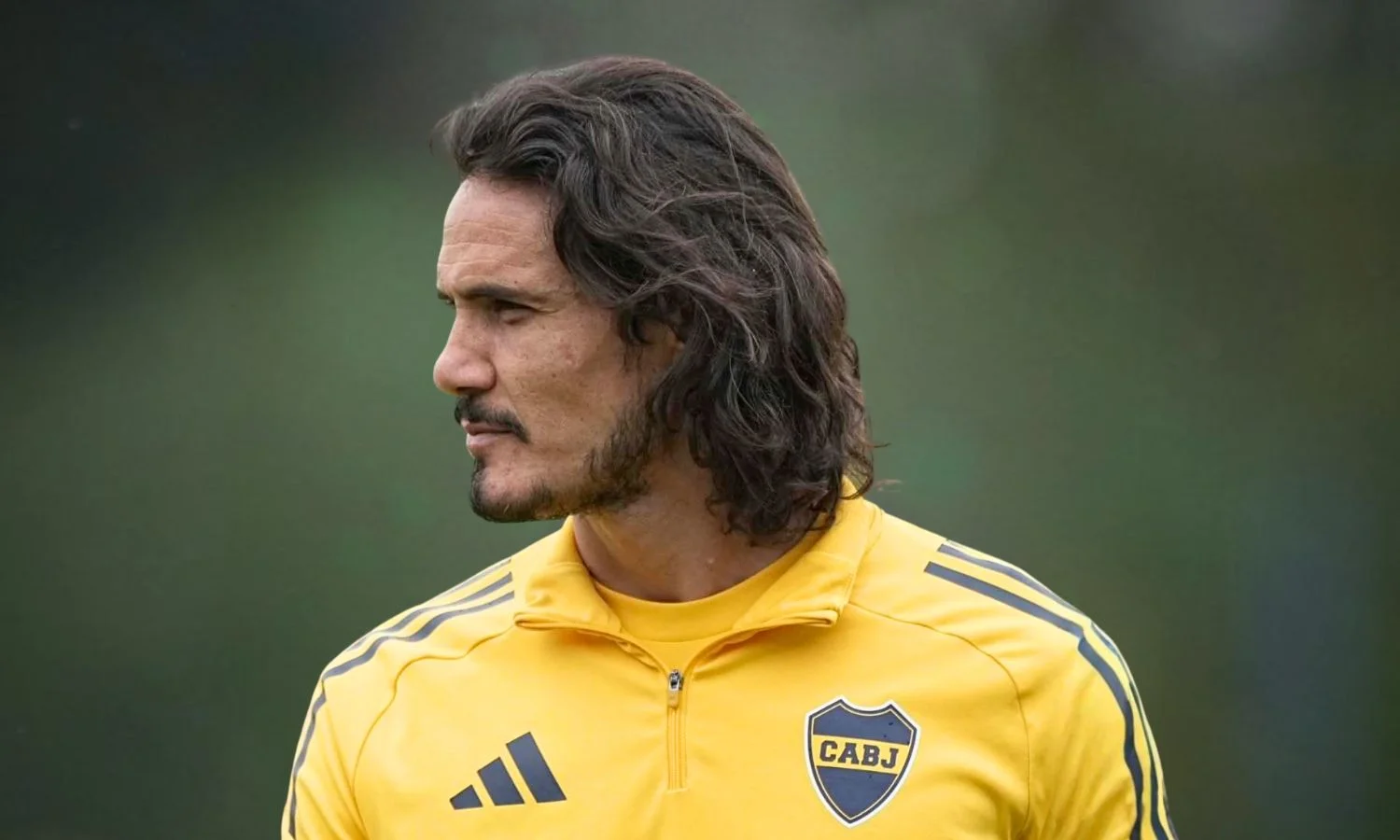 Cavani